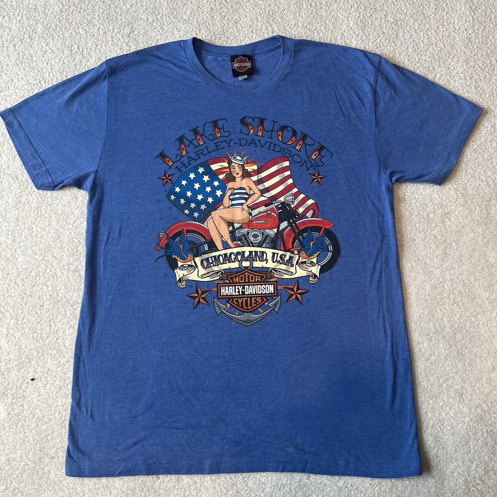 Harley Davidson T Shirt Blue XL Y2K Chicagoland Pin Up Graphic Biker Tee USA